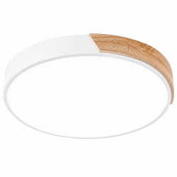 A19/300 WHITE