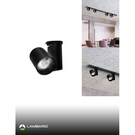 LD30-02031 LD30-02031
